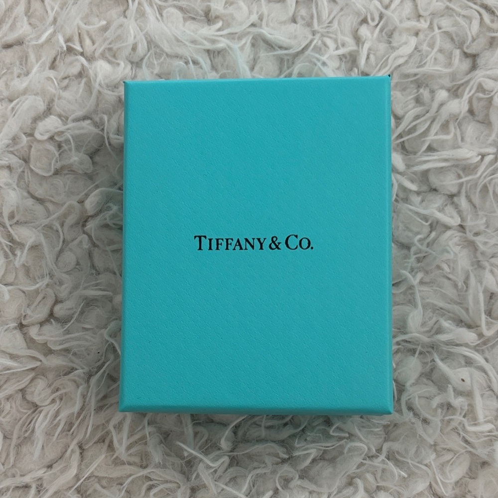 Tiffany & Co. Turquoise Gift Box